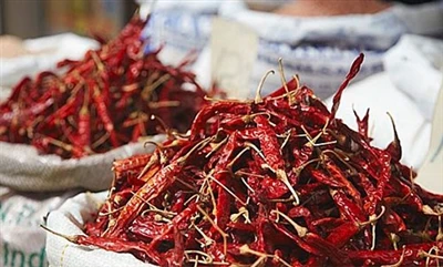 Introduksjon til Sri Lankas Peppers