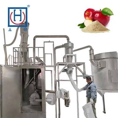 Industrial Frozen Fruit Crusher